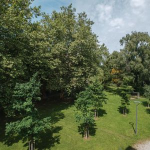Raumwunder - Wg Willkommen! 16053F - Photo 3