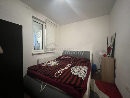 ALL INKLUSIVE - Perfekt für Singles, die es unkompliziert mögen - Foto 3