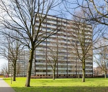 Roggekamp 0ong, 2592 Den Haag, Nederland - Photo 4