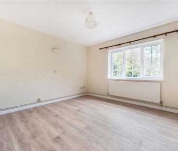 2 bedroom bungalow to rent - Photo 5