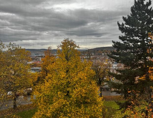 Helle, großzügige Wohnung mit Ausblick am Stuttgarter Killesberg - Photo 1