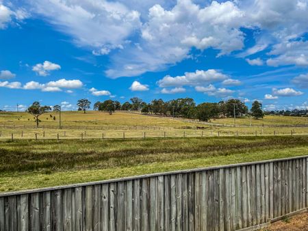 39 Dunnart Street, 2320, Aberglasslyn Nsw - Photo 2