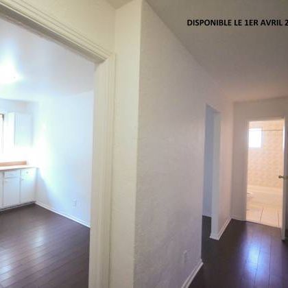 logement a louer - Photo 4