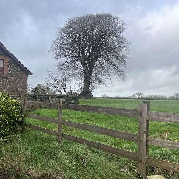 Craneham Court, Buckland Brewer, Bideford, Devon, EX39 - Photo 1