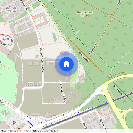 George-Sullivan-Ring 101, 68309, Mannheim