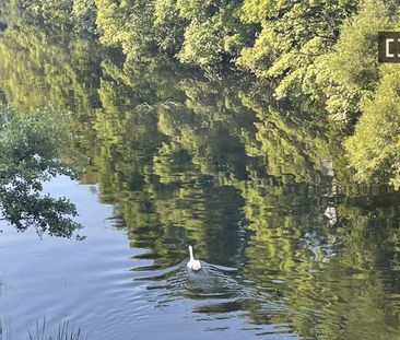 Studio apartment for rent in Dublin - Photo 4