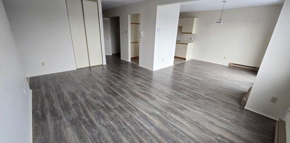À louer 4 1/2 pour personnes 50 ans et plus St-Hyacinthe - appartement / logement - Photo 2