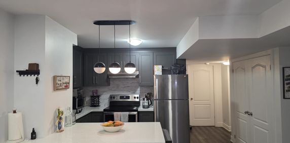 For Lease - 24 Vineyard Drive Unit# Basement, Brampton, Ontario - Photo 2