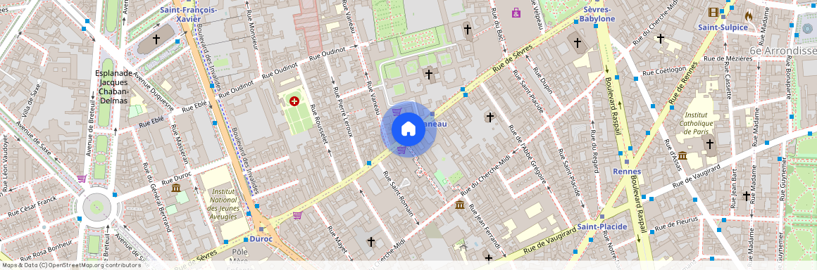 Rue de Sèvres, Paris