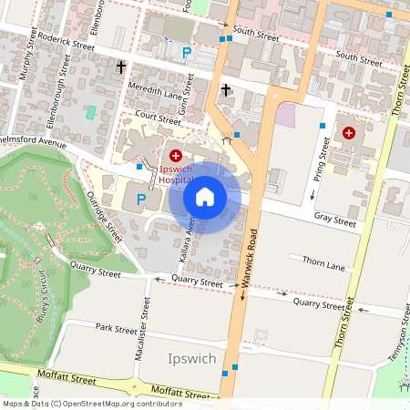 3 Chelmsford Avenue, Qld 4305, Ipswich