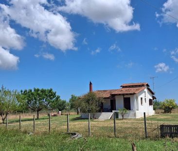 Μονοκατοικία για ενοικίαση Κέντρο (Τραγανό) - Photo 2