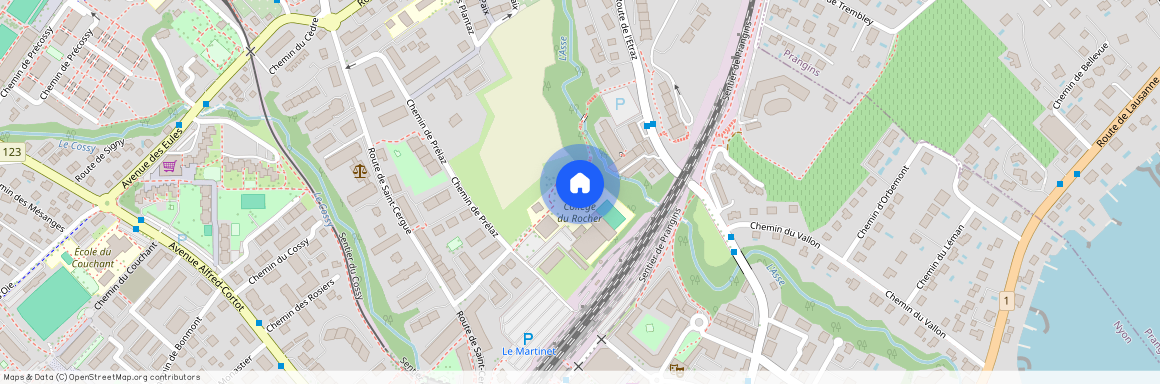 Chemin de Prélaz, 1260 Nyon