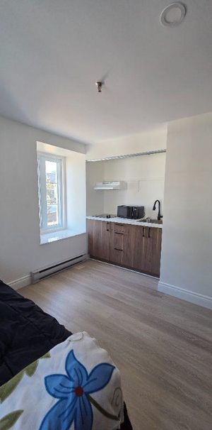 Chambres à louer — 1440 rue des Pionniers, Saint-Nicolas (Lévis) - Photo 1