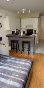 Superbe studio (1 1/2 ) meuble dans le Plateau Mont Royal - Photo 4