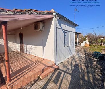 Μονοκατοικία για ενοικίαση Φανερωμένη (Πελλιναίο) - Photo 5