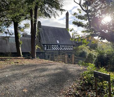 3 bedroom semi-detached house to rent - Photo 6