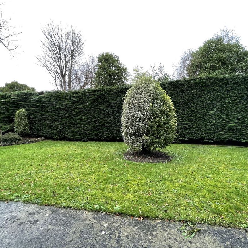 Flat 1, 160 Rathgar Road, Rathmines, Dublin 6 - Photo 1