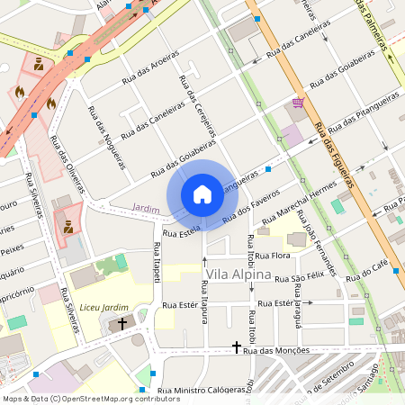 Rua das Pitangueiras, Vila Alpina, Santo André