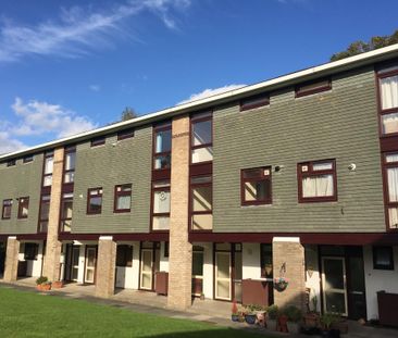 2 bedroom maisonette to rent - Photo 5