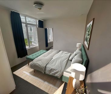 8 Lipman Street, Wellington Central - Photo 3