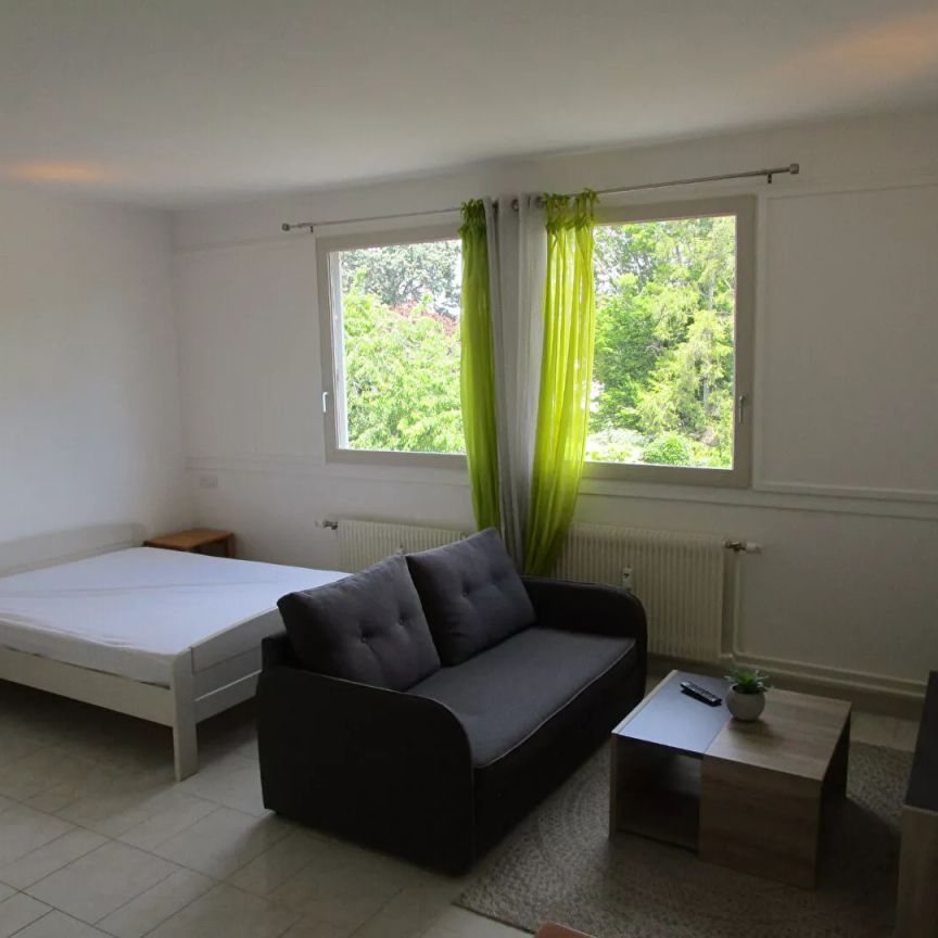 Grand studio avec prêt de meubles - Photo 1