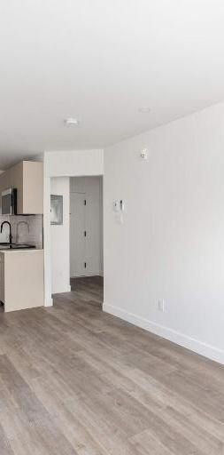 1 CH - 1 SDB - Montréal - $1,445 /mo - Photo 1
