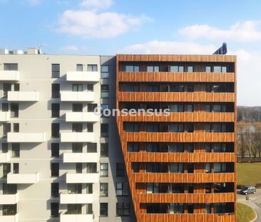 Katowice - Zdjęcie 1
