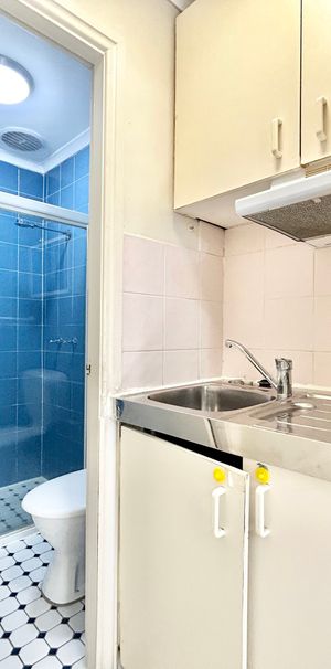 3/250 Bridge Road, Forest Lodge NSW 2037 - Studio For Rent | Domain - Photo 1