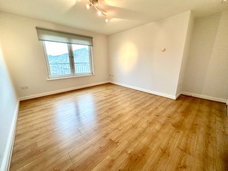 Belvidere Avenue, Parkhead, Glasgow, G31 4PA - Photo 3