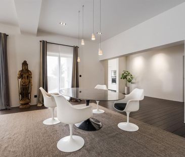 Appartement te huur in Hemiksem - Foto 2