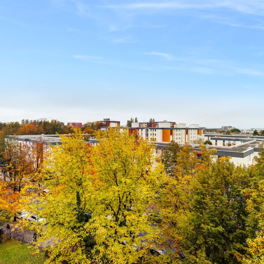 Zur Miete: Ruhige Wohnung mit schönem Blick - Foto 1