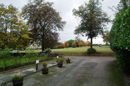 The Orchard, Blackheath, SE3 - Photo 5