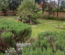 Διαμέρισμα για ενοικίαση - Αμάρυνθος, - Photo 3