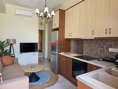 Studio/Γκαρσονιέρα για ενοικίαση Πάνορμος (Γεροπόταμος) - Φωτογραφία 2