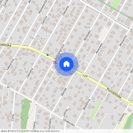 ul. Pszczelińska, Brwinów, Brwinów, pruszkowski, mazowieckie