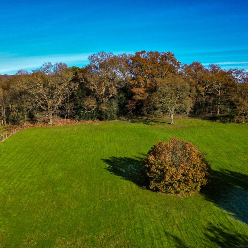 4 bed detached house to rent in Dorking Road, Abinger Hammer, Dorking, Surrey, RH5 - Photo 1