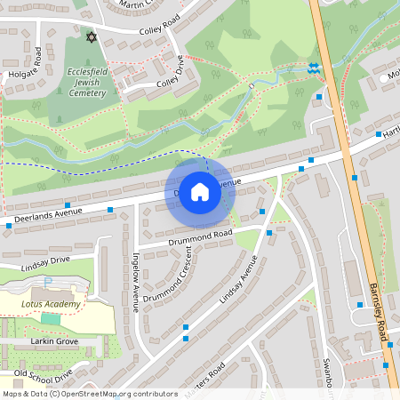 Deerlands Avenue, South Yorkshire S5