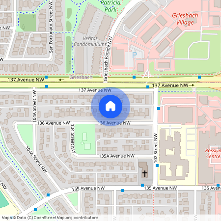 10304 136 Avenue NW, BSMT, Edmonton, AB, CA T5E 1W1