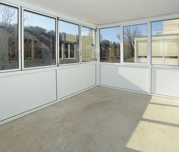 "Greifensee zum Greifen nahe!" - Photo 2