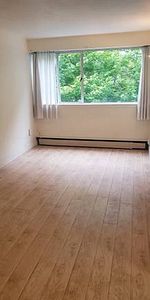 1 br west end , near English Bay, Stanley Park - Photo 3