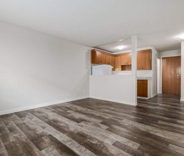 Renovated Suite - 2 Bedroom - Photo 1