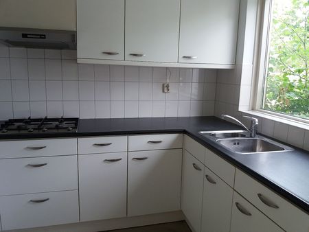 Salderes 194 - Foto 2