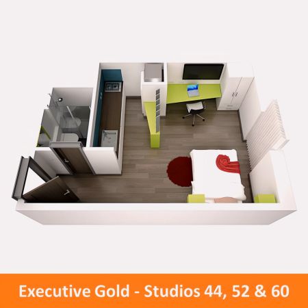 Executive Gold Studio 44 - Photo 5