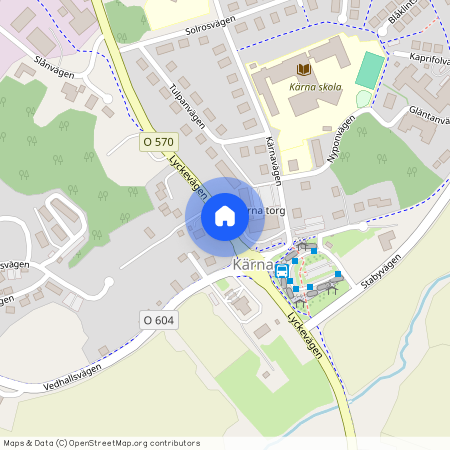 Lilla Fjellsholmen, Kärna