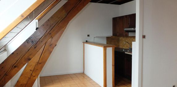 Location Appartement 1 pièce 25m² GRENOBLE 38000 - Photo 2
