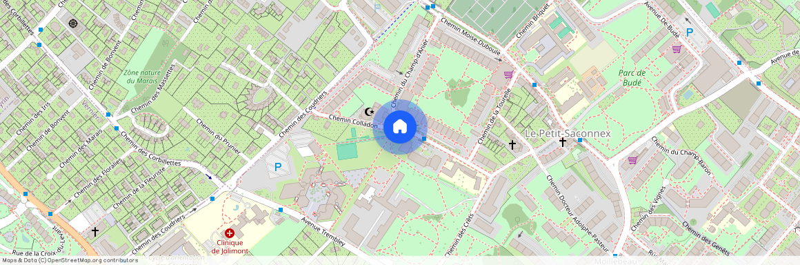 1209, Genf, Chemin Colladon