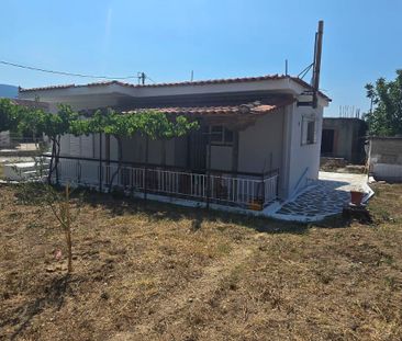 Μονοκατοικία για ενοικίαση Γυμνό (Αμάρυνθος) - Photo 6
