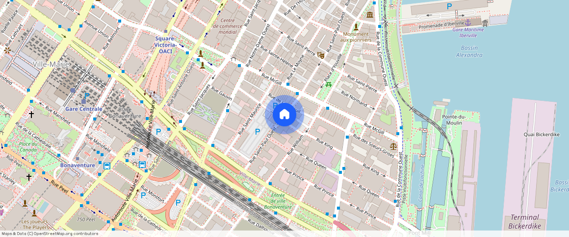 738 Rue Saint-Paul Ouest, Ville-Marie, Ville-Marie, Ile de Montréal, H3C 1M4