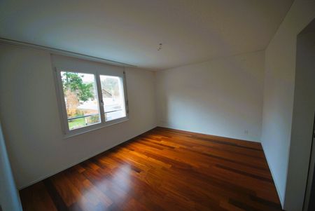 Traumhafte Wohnung in Birmensdorf - Photo 4