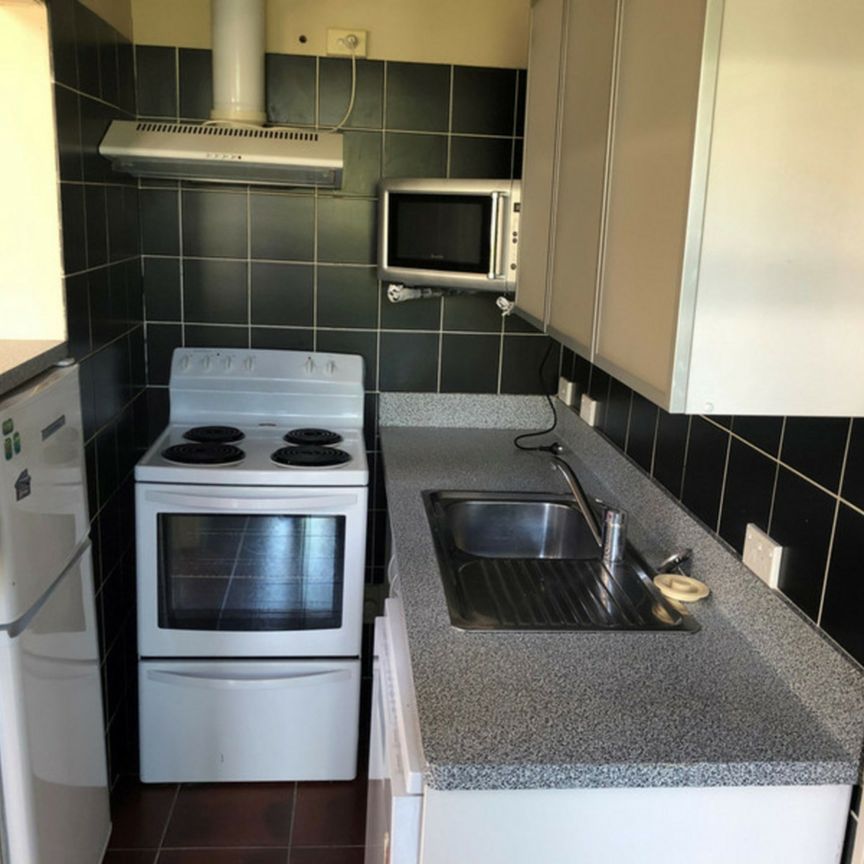 Cute and comfortable in Maori Hill - Available 13/10/2025 - Photo 1